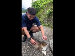 video by short shorts sports guys 18k